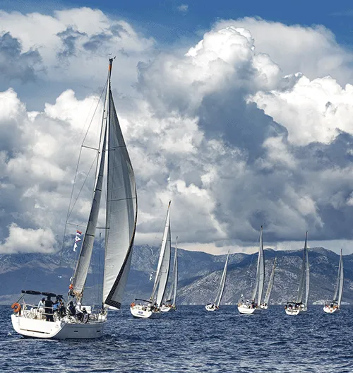 HEMITHEA REGATTA